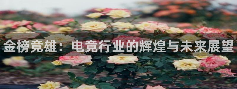 易游电竞中国区：金榜竞雄：电竞行业的辉煌与未来展望