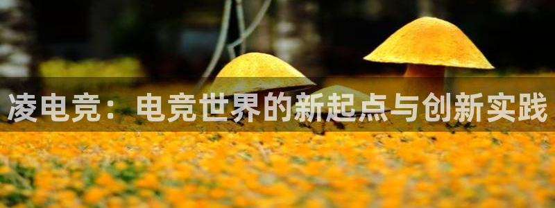 易游电竞馆：凌电竞：电竞世界的新起点与创新实践