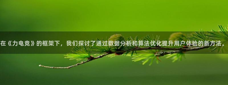 易游电竞CSGO解说：在《力电竞》的框架下，我们探讨了通过数据分析和算法优化提升用户体验的新方法。