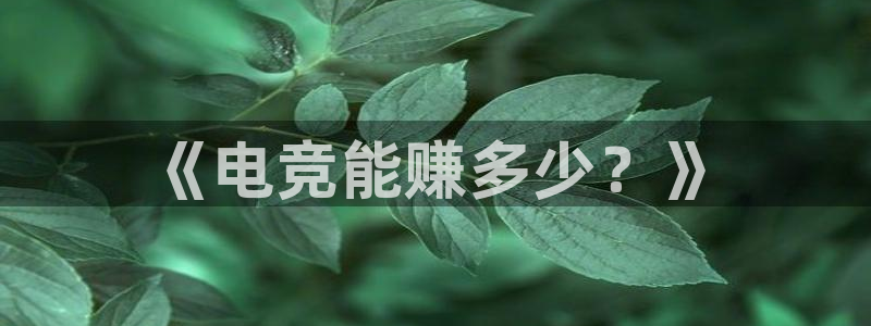 易游电竞网咖：《电竞能赚多少？》