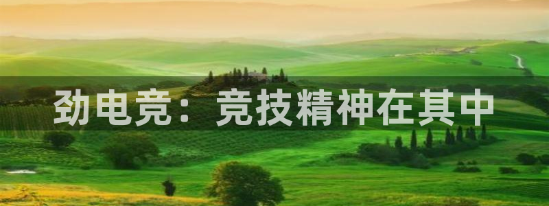 易游电竞赛事直播：劲电竞：竞技精神在其中