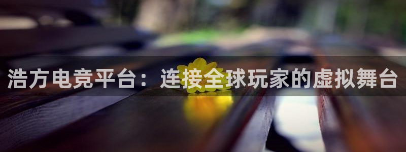 易游电竞：浩方电竞平台：连接全球玩家的虚拟舞台