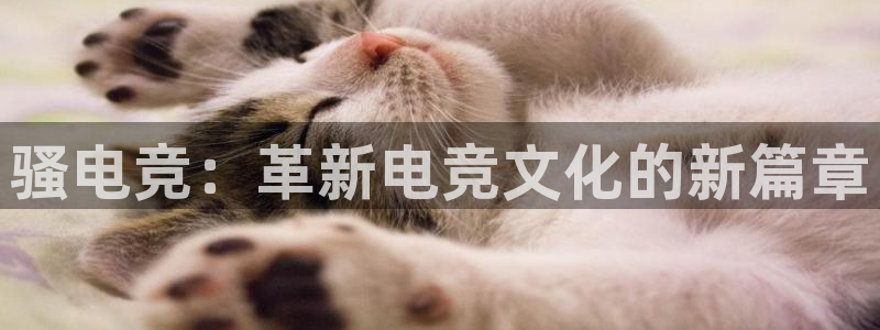 易游电竞：骚电竞：革新电竞文化的新篇章